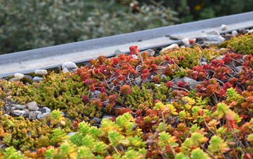 the cost of Westhumble green roof installation