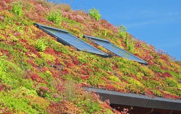 Westhumble living roof systems